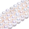 Natural Cultured Freshwater Pearl Beads Strands PEAR-N016-06B-1