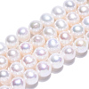 Natural Cultured Freshwater Pearl Beads Strands PEAR-N016-06B-2