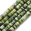 Natural Serpentine Jade Beads Strands G-L624-H13-6x2mm-2