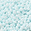 6/0 Glass Seed Beads SEED-M012-01A-13-3