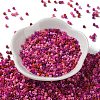 Baking Paint Glass Seed Beads SEED-S042-05A-09-2