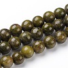 Natural Epidote Round Beads Strands G-L383-07-8mm-1