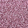 MIYUKI Round Rocailles Beads X-SEED-G007-RR1349-3