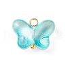 Transparent Glass Charms PALLOY-JF01734-2