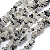 Natural Tourmalinated Quartz/Black Rutilated Quartz Beads Strands G-P332-42-1