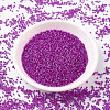 MIYUKI Delica Beads SEED-X0054-DB1340-2