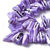 Dyed Natural Trochus Shell Beads Strands SSHEL-C013-09N-3