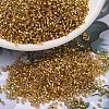 MIYUKI Delica Beads SEED-J020-DB2525-4