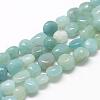 Natural Amazonite Beads Strands G-R445-8x10-21-1