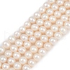 Natural Cultured Freshwater Pearl Beads Strands PEAR-I007-07J-01A-2