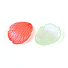 Transparent Plastic Pendants KY-N025-02-2