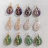 SUPERFINDINGS 12Pcs 6 Styles Natural Mixed Stone Pendants FIND-FH0006-25-1