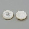 Natural Freshwater Shell Beads SHEL-Q011-005P-2