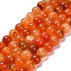 Natural Agate Beads Strands G-B079-A04-03C-2