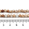 Dyed Natural Regalite/Imperial Jasper/Sea Sediment Jasper Beads Strands G-B124-C04-11-4