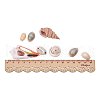 Natural Trumpet Shell Beads BSHE-PH0001-11-4