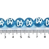Handmade Lampwork Beads GLAA-B021-07B-02-4