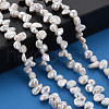 Natural Keshi Pearl Beads Strands PEAR-S020-R01-5