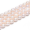 Natural Cultured Freshwater Pearl Beads Strands PEAR-N012-06Z-5