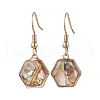 Natural Paua Shell Dangle Earrings EJEW-JE06274-01-2