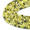 Natural Yellow Turquoise(Jasper) Beads Strands G-A260-A18-01-3