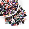 Baking Paint Glass Seed Beads SEED-N008-06-1