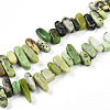 Natural Serpentine Beads Strands G-T140-62-4