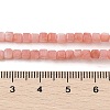 Natural Freshwater Shell Dyed Beads Strands SHEL-R100-11A-01-4