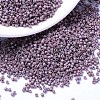 MIYUKI Delica Beads SEED-X0054-DB1066-1
