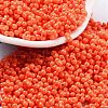 Baking Paint Glass Seed Beads SEED-A033-04F-1