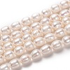 Natural Cultured Freshwater Pearl Beads Strands PEAR-L033-79-01-1