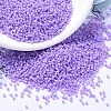 MIYUKI Delica Beads SEED-JP0008-DB2138-1