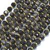 Natural Silver Obsidian Beads Strands G-K389-E84-01-1