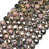 Natural Rhodonite Beads Strands G-C116-A101-01-2