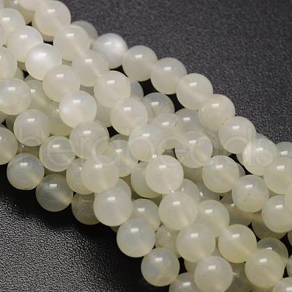 Round Natural White Moonstone Bead Strands X1-G-L425-22-6mm-1