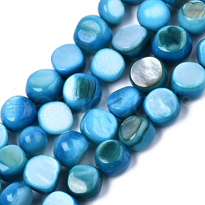 Natural Freshwater Shell Beads Strands SHEL-S276-110B-03-1