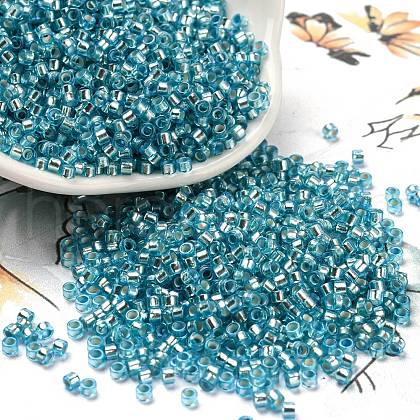 Glass Seed Beads X1-SEED-S042-04A-13-1
