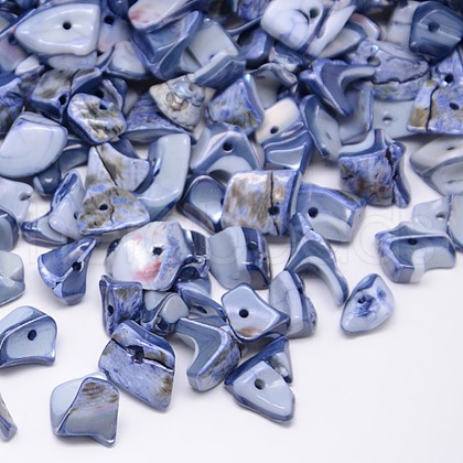 Dyed Natural Freshwater Shell Chips Beads SHEL-A003-E01-1