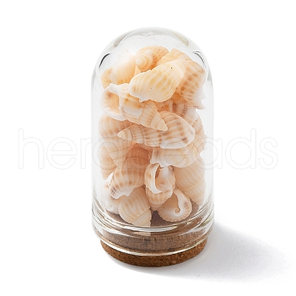 Glass Dome Bottle Display Decorations AJEW-JD00008-03-1