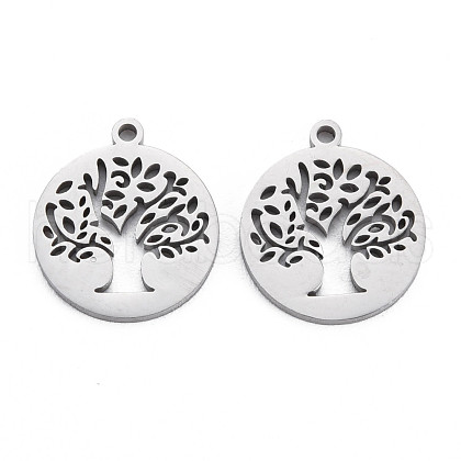 304 Stainless Steel Charms STAS-N095-053-1