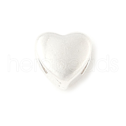 925 Sterling Silver Silde Charms STER-C013-02S-1