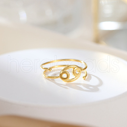 Twelve Constellations 925 Sterling Silver Finger Rings FS-WGD38E8-08-1