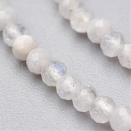 Natural Rainbow Moonstone Bead Strands G-P213-21-2mm-1