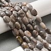 Natural Crazy Lace Agate Beads Strands G-G102-B01-01-1