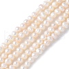 Natural Cultured Freshwater Pearl Beads Strands PEAR-I007-07K-02B-2