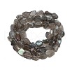 Natural Labradorite Beads Strands G-Q060-E20-01-3