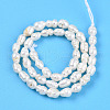 Natural Cultured Freshwater Pearl Beads Strands PEAR-N012-02X-01-2