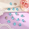 Preciosa® MAXIMA Crystal Fancy Stones X-PRC-FD10-60010-2