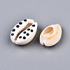 Natural Cowrie Shell Beads SHEL-Q312-006A-3