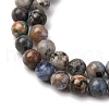 Natural Sodalite Beads Strands G-F591-13-01-4